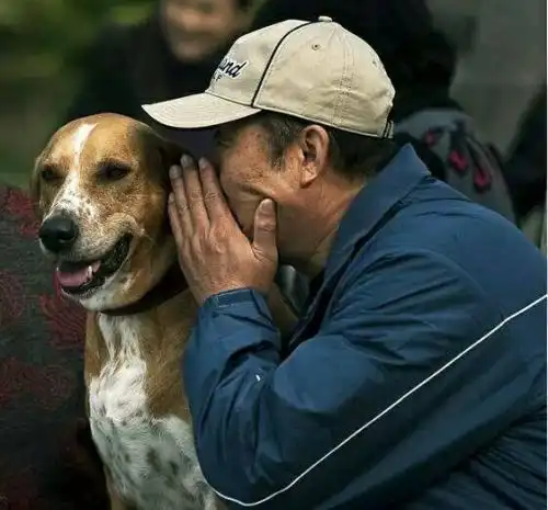 据说养狗的人都会有8种后遗症,你中招了吗