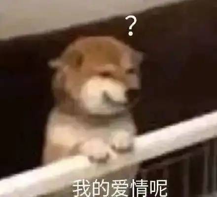 考研人的高光时刻你上头了吗