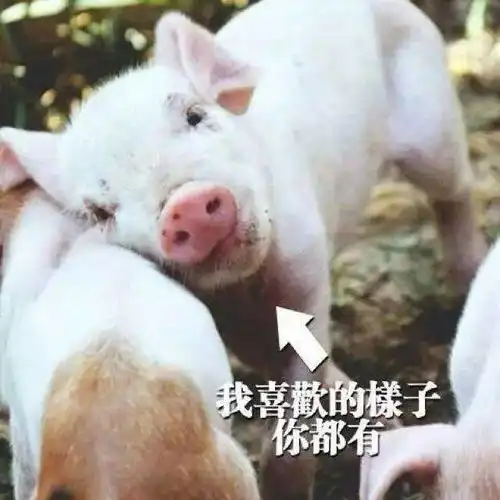 放大镜拿来,今天一定要找到你的jj