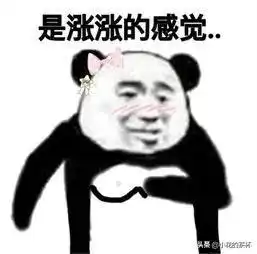 熊猫表情包06