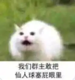 小学生互相攀比群主敢xxx,群主很危险啊