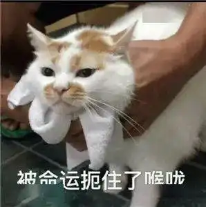 2020年二建报名提醒