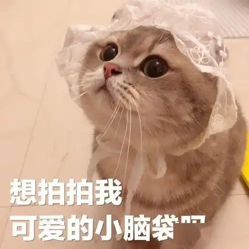 每晚分享沙雕表情包