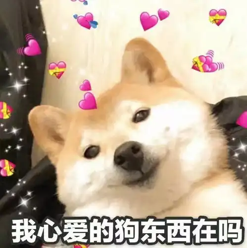 向天祈求一个队友