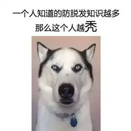 发表情表情包大全微信表情包qq表情包fabiaoqing.com