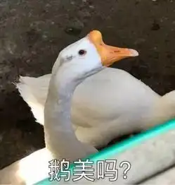 社会我鹅哥,鸟狠话不多
