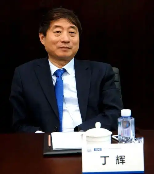 丁辉