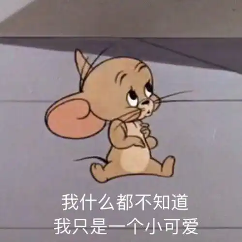 有哪些可爱的沙雕句子