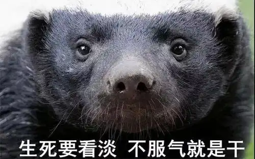 马云宣战今天,阿里巴巴宣布成立芯片公司