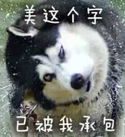 萌宠铲屎官不容易,一不小心就容易养到一个蠢货