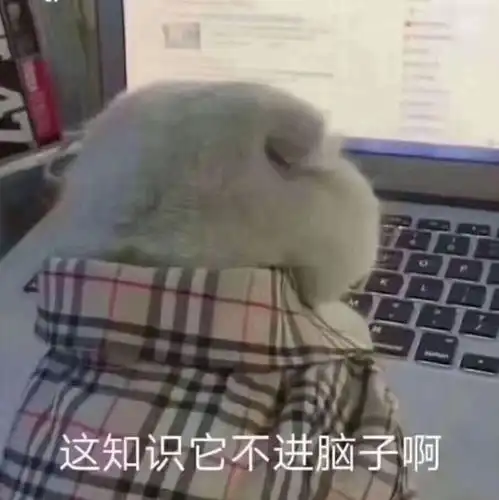 偏科生也能上港大,考名校其实有套路
