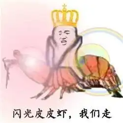 偶遇一片白桦林,爱上一座冬天小城阿尔山