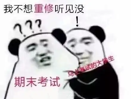表情包我可能复习了假书但我玩的是真手机