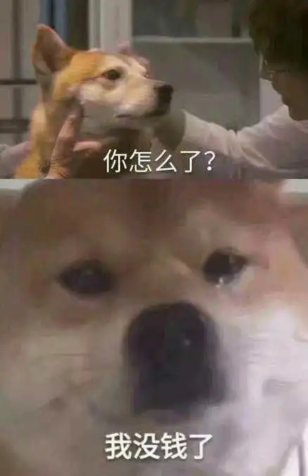 不起眼,内裤项目