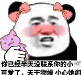 谁说直男不会撩全程高能表情包,网友脱单不再是难题
