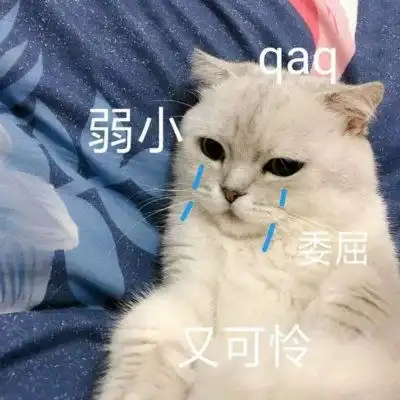 个性表情包