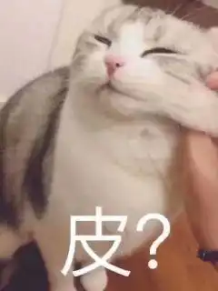 皮而卡传