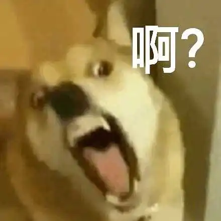 车险哪家比较好呢