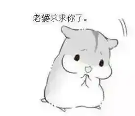 哄老婆表情包老婆大人对不起好喜欢老婆我老婆超级可爱