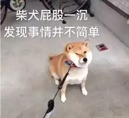 果然女人之间的戏不可能这么快结束,这次连梁静茹都出来站队了
