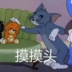 安财室友图鉴