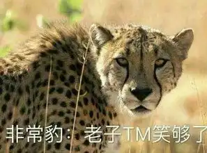 都说吴彦祖帅,那是你没见过吴亦凡