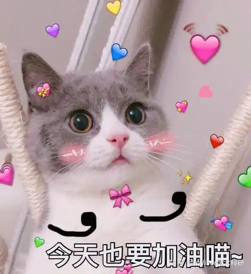 金融,会计,财务管理专业的区别
