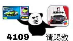 狂野飙车9抽包