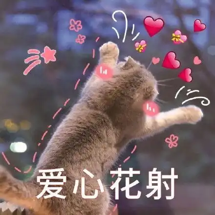 姐妹们不要活在梦里了你是不知道韩国渣男到底有多渣
