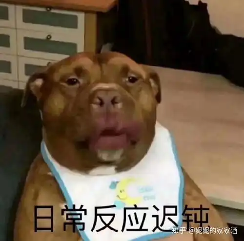 很好看的小说