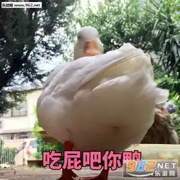 你的小甜甜收到表情包笑blue齿表情包下载乐游网游戏下载