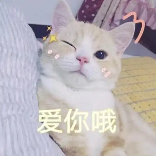 卧室墙面装修布置不知道从何下手看看这篇,或许对你卧室墙面装修有所启发