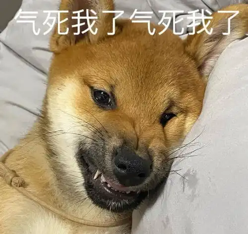 适合发给你对象的表情包