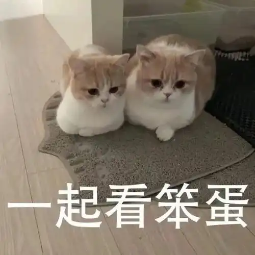 很好,你成功引起我的注意