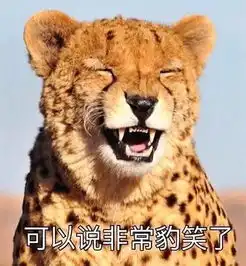 猫教你的十条人生经验,不看解释的人英语过专八
