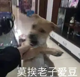 求你做个人是什么意思求你做个人意思出处含义介绍游戏吧