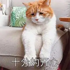 表情不应当,因为我只是一只猫咪