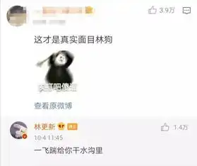 和网友们互怼成日常动态,为什么林更新放飞自我却受人喜爱