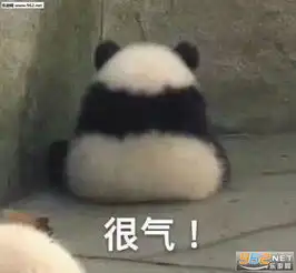我不听我不听小灰灰熊猫成实表情包图片气到哭泣熊猫表情包图片下载乐游网游戏下载