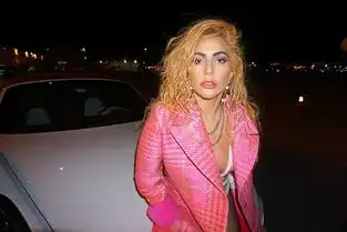 组图ladygaga搭乘私人飞机凹造型性感妖娆表情冷酷