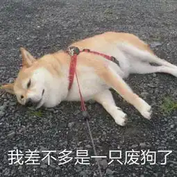 今日萌萌哒表情包来了哟