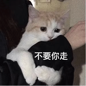 表情包牵猪咪的手