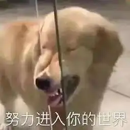 这是年轻人找工作时最菜的一个环节