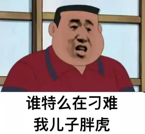 胖虎表情包丨我是你的双马尾小宝贝吗