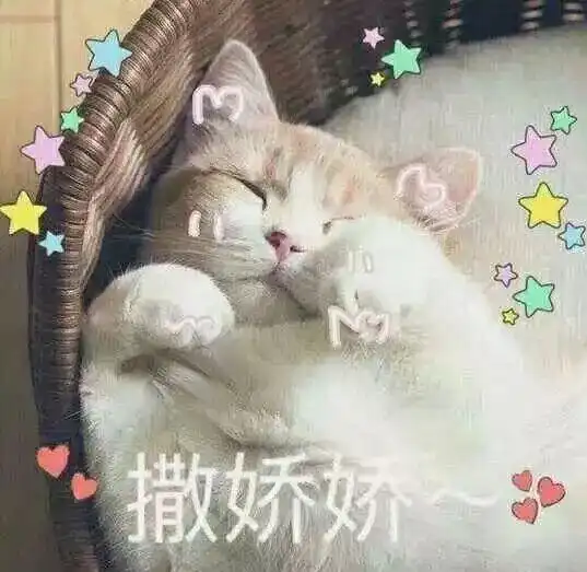 化妆水深度扒皮求求你们别再乱用了