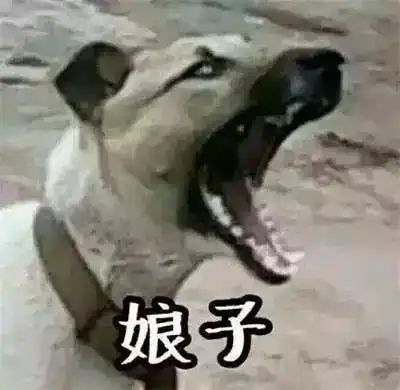 情人节,陪你换情侣头像的才是真爱