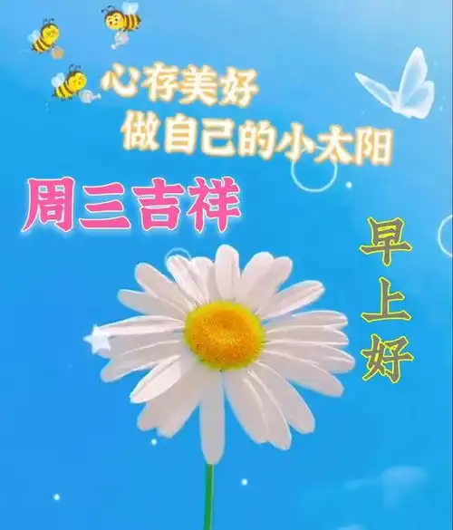 周三早上好中老年表情包,话不在多,贴心最真送给最在乎的人