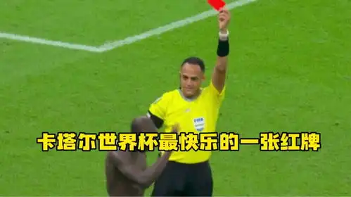 卡塔尔世界杯最快乐的一张红牌
