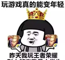 斗图表情包不要吵,让我静静的玩王者荣耀