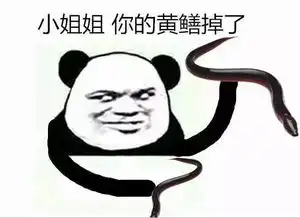 新一代网红大pk皮皮虾跟大黄鳝究竟谁能稳坐网红宝座登上动物生巅峰金馆长表情每日推送,妈蛋表情网